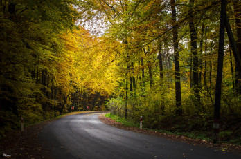 Картинка природа дороги простор