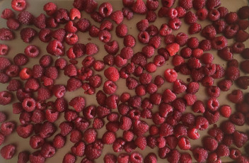 Картинка еда малина