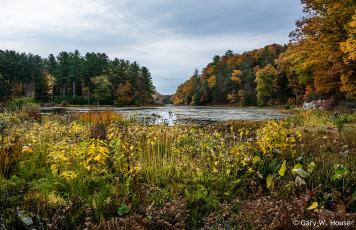 Картинка природа реки озера осень