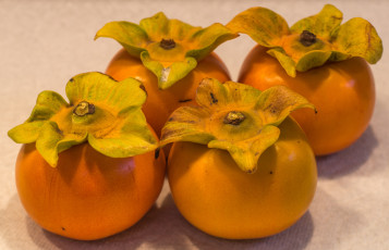 Картинка еда хурма плоды