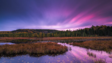 Картинка природа реки озера лес река