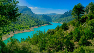 Картинка природа реки озера река лес