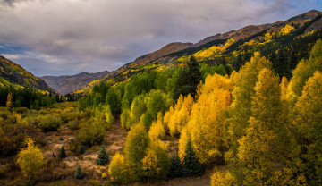 Картинка природа пейзажи простор