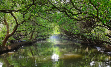 Картинка природа реки озера река лес