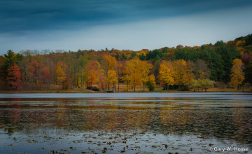 Картинка природа реки озера озеро