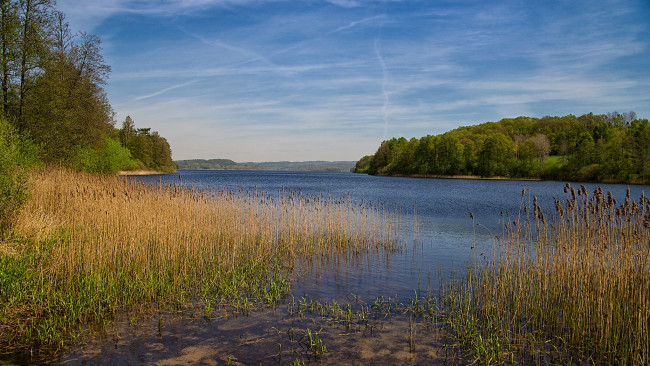 Обои картинки фото природа, реки, озера, лес, река