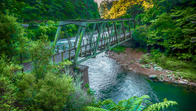 Обои картинки фото природа, реки, озера, лес, река