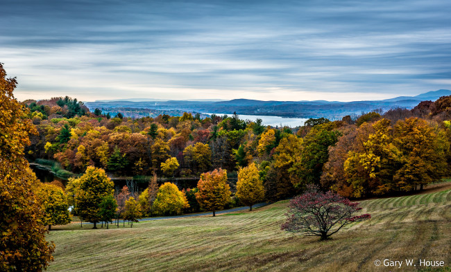 Обои картинки фото природа, лес, осень
