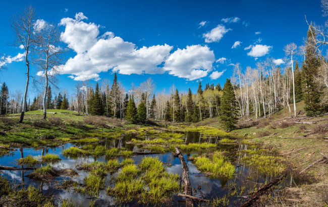 Обои картинки фото природа, реки, озера, простор