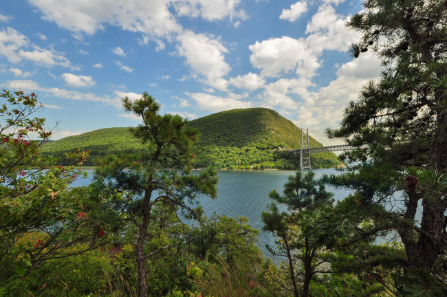 Обои картинки фото природа, реки, озера, лес, река