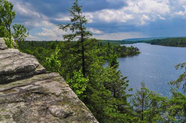 Обои картинки фото природа, реки, озера, река, лес