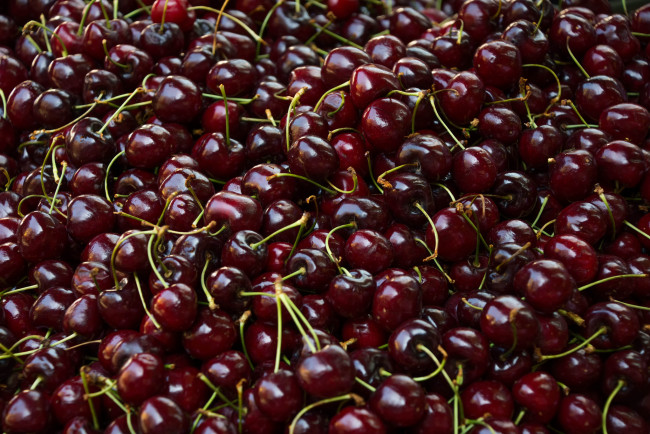 Обои картинки фото еда, вишня,  черешня, плоды