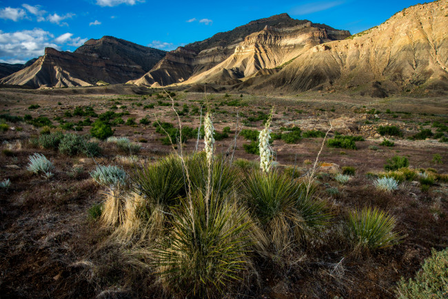 Обои картинки фото природа, пустыни, простор