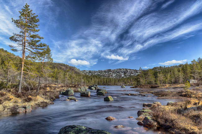 Обои картинки фото природа, реки, озера, река, лес