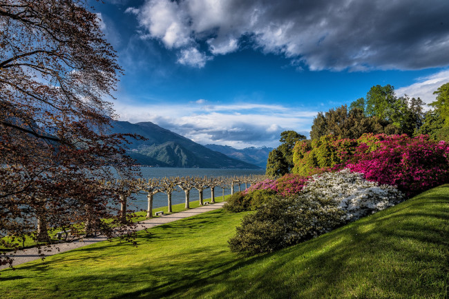 Обои картинки фото природа, реки, озера, река, лес