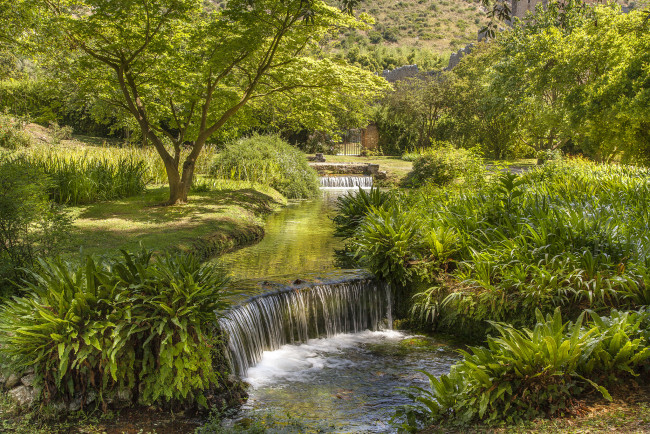 Обои картинки фото природа, реки, озера, река, лес