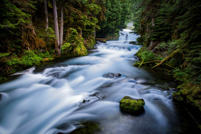 Обои картинки фото природа, реки, озера, водопад, река, лес