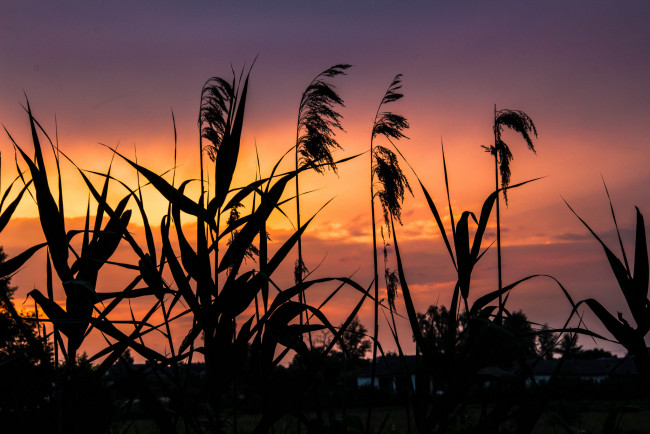 Обои картинки фото природа, восходы, закаты, рассвет