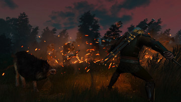 Картинка видео+игры the+witcher+3 +wild+hunt ведьмак бой искры волки оборотни