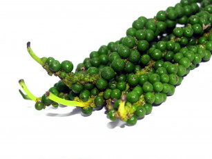 Картинка еда перец зеленый