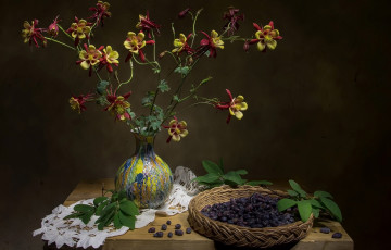 Картинка еда фрукты +ягоды букет аквилегия ягоды