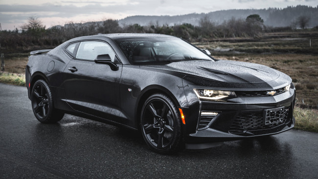 Обои картинки фото автомобили, camaro, chevrolet
