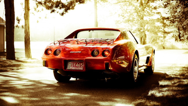 Обои картинки фото автомобили, corvette, 1976, chevrolet, stingray