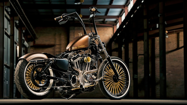Обои картинки фото мотоциклы, harley-davidson