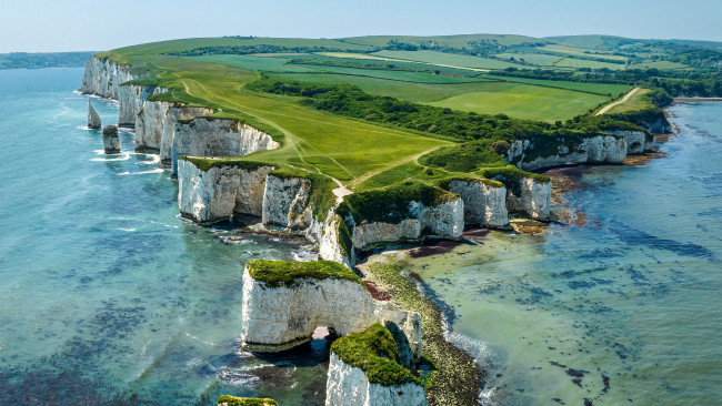 Обои картинки фото природа, побережье, остров, скалы, море, деревья, пейзаж