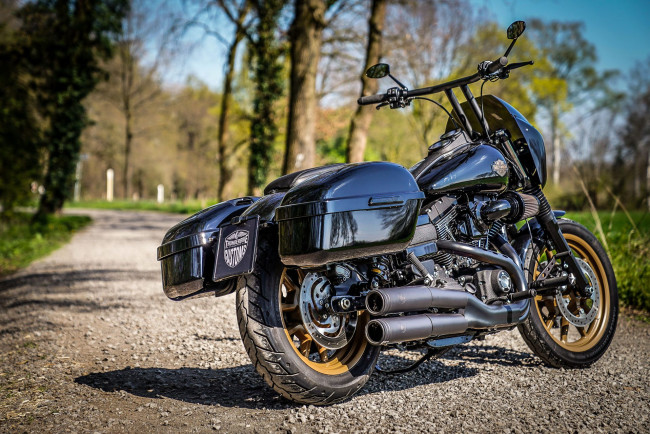 Обои картинки фото harley, мотоциклы, harley-davidson, thunderbike, customs, мотоцикл, байк