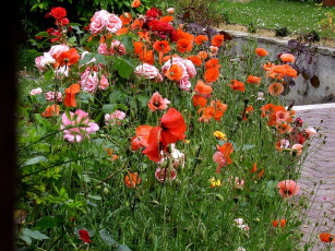 Картинка deutschland цветы разные вместе