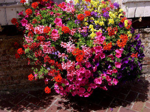 Картинка deutschland цветы разные вместе