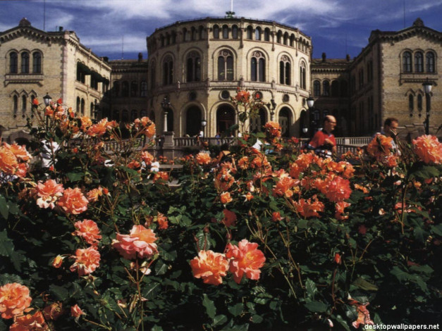 Обои картинки фото города, дрезден, германия