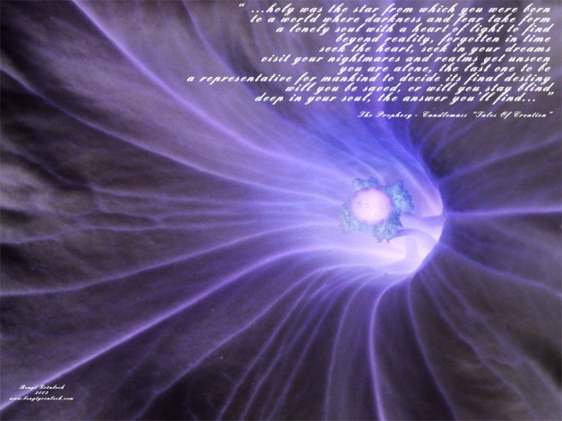 Обои картинки фото космос, разное, другое