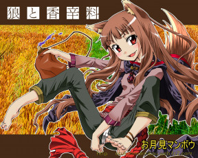 Картинка аниме spice and wolf