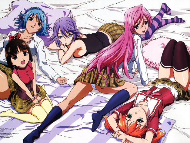 Обои картинки фото аниме, rosario, vampire