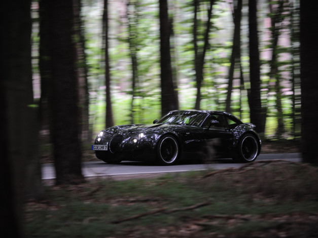 Обои картинки фото автомобили, wiesmann