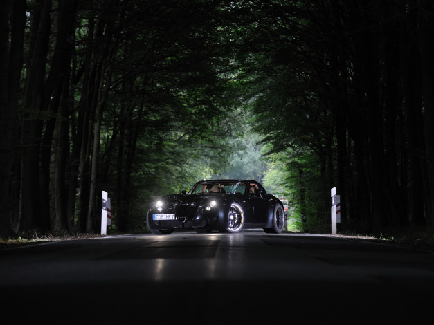 Обои картинки фото автомобили, wiesmann