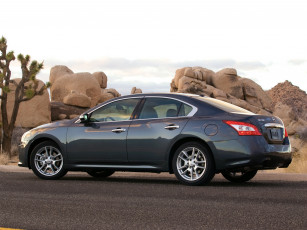 Картинка автомобили nissan datsun