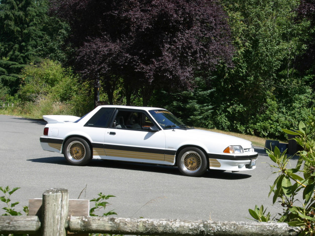 Обои картинки фото автомобили, mustang