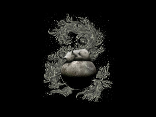 Картинка векторная графика котик