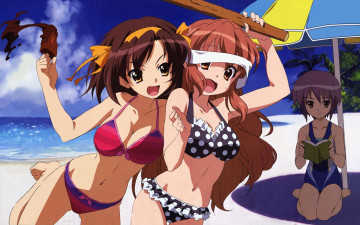 Картинка аниме the melancholy of haruhi suzumiya девушки