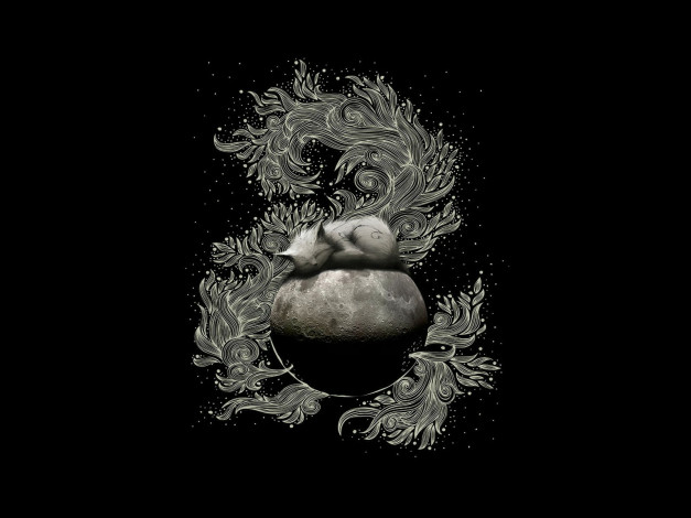 Обои картинки фото векторная, графика, котик