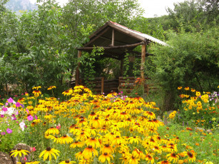 Картинка разное сооружения постройки сарай цветы