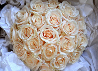 Картинка цветы розы бежевый бусы