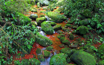 Картинка природа реки озера камни ручей мох