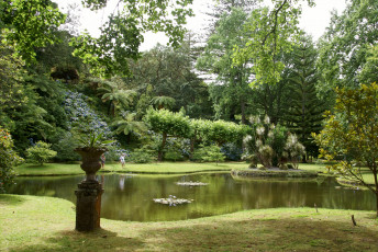Картинка parque terra nostra furnas португалия природа парк растения водоем