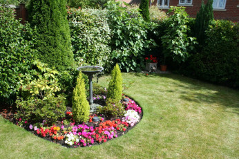 Картинка природа парк клумба цветы