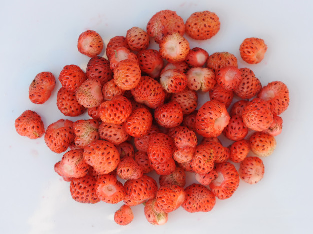 Обои картинки фото еда, клубника, земляника