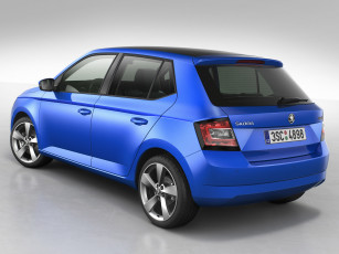 обоя автомобили, skoda, синийа, skodа, 2014г, fabia